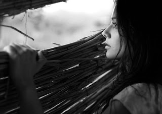 ���� ���� ���� ������